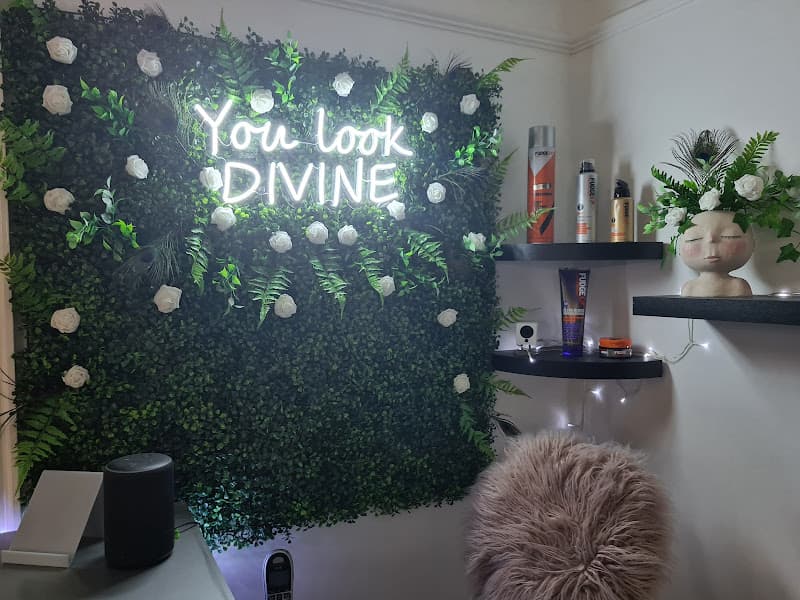 Divine Hair and Beauty